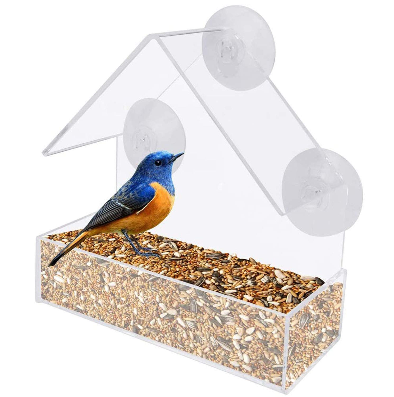 Bird Feeder with Suction Cup, Hanging Acrylic Bird Feeder, Clear Window Hanging Bird Feeder, Window Suction Cup Bird Feeder, for Feeding and Watching Various Bird Activities (Transparent)