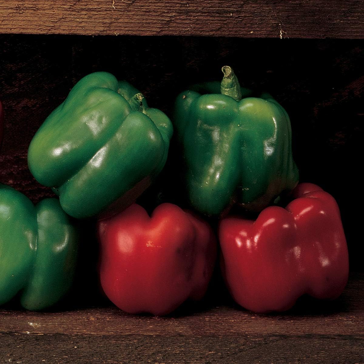 Best 29 Inch Raised Garden Bed