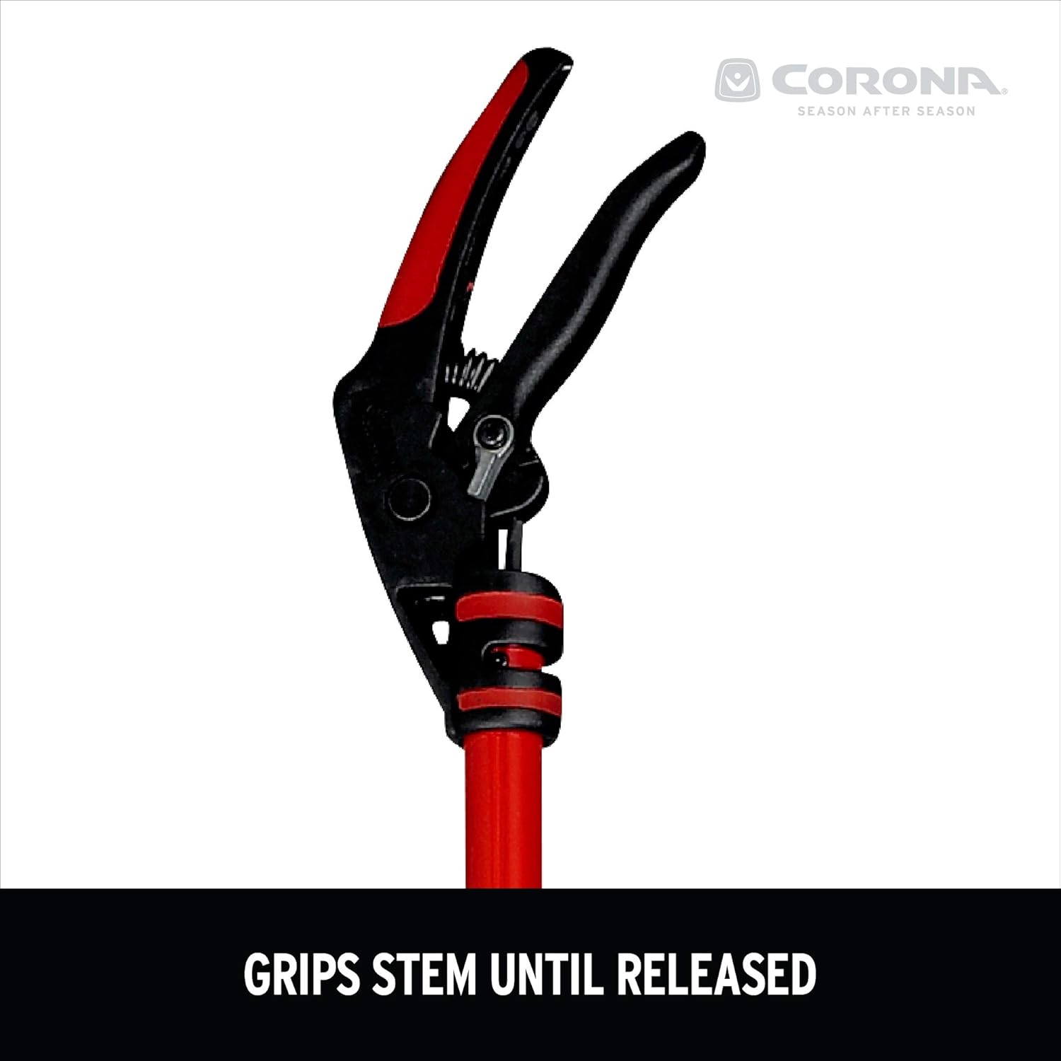 Corona LR 3460 Long Reach Cut 'n' Hold Pruner, 46-Inch, Red: Garden & Outdoor