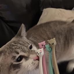 MLM Cartoon Cat Gel Pens - 8 Pack Bedroom Eyes Cat Rollerball Pens