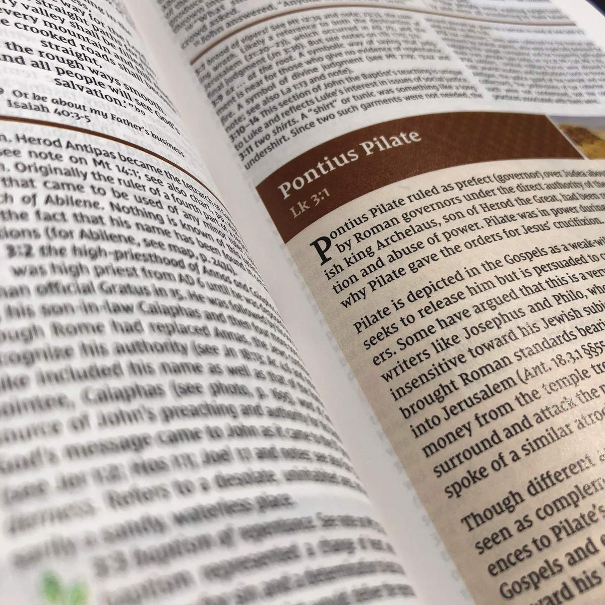 NIV Study Bible, Fully Revised Edition (Study Deeply. Believe Wholeheartedly.), Large Print, Leathersoft, Brown, Red Letter, Comfort Print NIV Study Bible, Fully Revised Edition (Study Deeply. Believe Wholeheartedly.), Large Print, Leathersoft, Brown, Red Letter, Comfort Print Imitation Leather