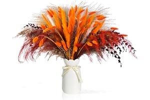 FIZERDMX 101PCS Dried Pampas Grass Mix Bouquet Contains Bunny Tails Dried Flowers and Reed Grass etc. for Boho Home Decor,Fall Arrangement,Centerpiece Table Decor,Rustic Farmhouse Decor,Wedding Decor