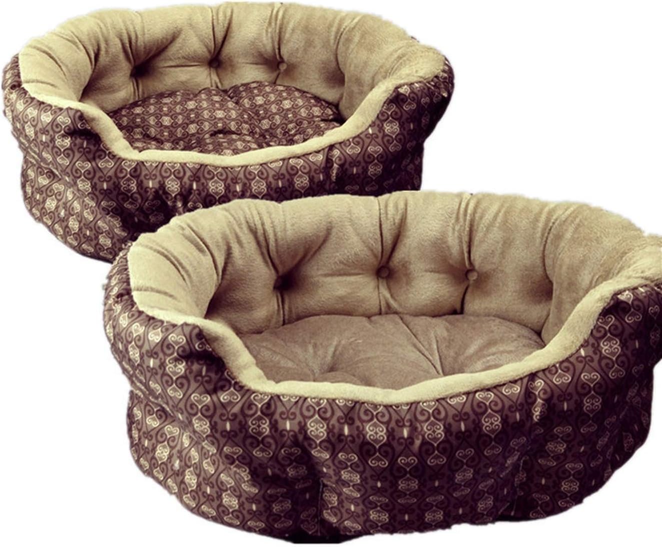 cat sleeps in dog crate