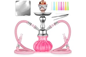 HOOWA 2 Hose Hookah Set 11'' Small Shisha Hookah Set With Mini Pumpkin Glass Vase, Ceramic Bowl, Leather Hose, Coal Tong, Hookah Foil, Disposable Tips (Pink)