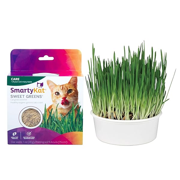 SMARTYKAT SWEET GREENS ORGANIC OAT GRASS ALL-IN-ONE CAT GRASS GROW KIT, EASY-TO-GROW TO SUPPORT DIGESTION & HAIRBALL REDUCTION