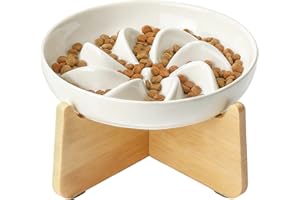 PETTOM Slow Feeder Cat Bowl with Stand, Ceramic Slow Eating Cat Bowl with Higher Edges ，Elevated Cats Food Bowls for Dry and Wet Food Anti-Vomiting Puzzle Feeder for Healthy Eating Diet