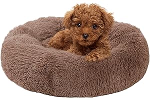 WGOOGW Small Dog Bed, Cat Beds for Indoor Cats, Calming Anti-Anxiety Donut Bed for Puppy and Kitten, Washable Round Fluffy Pet Bed for Extra Small Dogs and Cats(Fits up to 5 lbs Pets)
