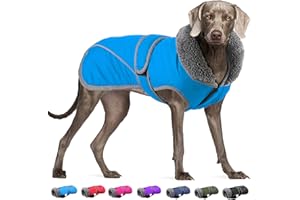 Dogcheer Dog Coat, Christmas Dog Jacket Waterproof Dog Winter Coat for Cold Weather, Reflective Adjustable Pet Snow Jacket Puppy Fleece Sweater for Small Medium Large Dogs - Sky Blue, XL