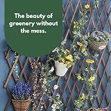 Garden Mile Heavy Duty Wooden Expanding Trellis 180 x 60 cm view 5