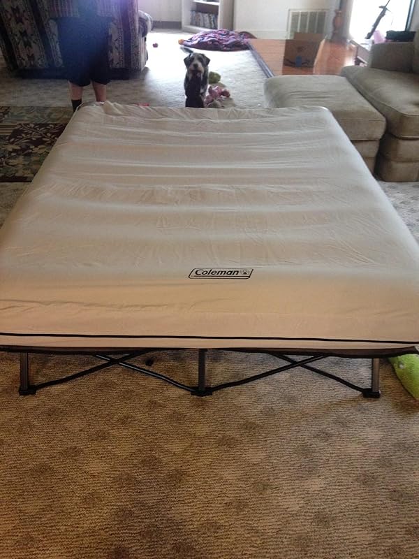 Coleman Twin Airbed Folding Camping Cot Happy Camping Mama
