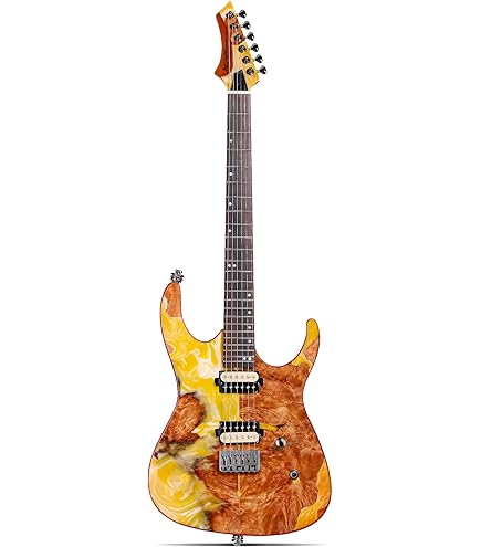 Amazon.com: B.C. Rich Shredzilla Prophecy 8 Archtop 8-string
