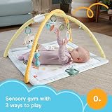 Fisher-Price Simply Senses Newborn Gym Playmat with Mobile Toy Arch view 9