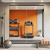 TRAHOME Home Gym Mirror for Wall,56x28x2PCS Full Length,Glass Frameless Body Large Mirror for Home Gym,Workout,Bedroom,Garage(Black)