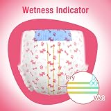 Pet Soft Pet Soft Disposable Dog Nappies Female Small 20 Count view 8