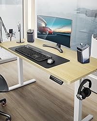 ErGear Height Adjustable Electric Standing Desk, 71