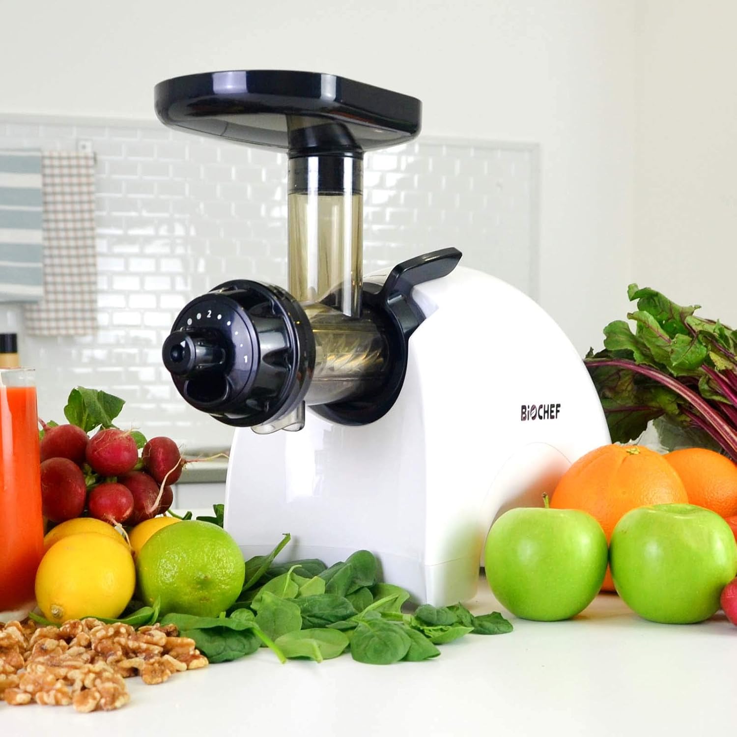 BioChef Gemini Twin Gear Masticating Slow Juicer Cold Press Juicer