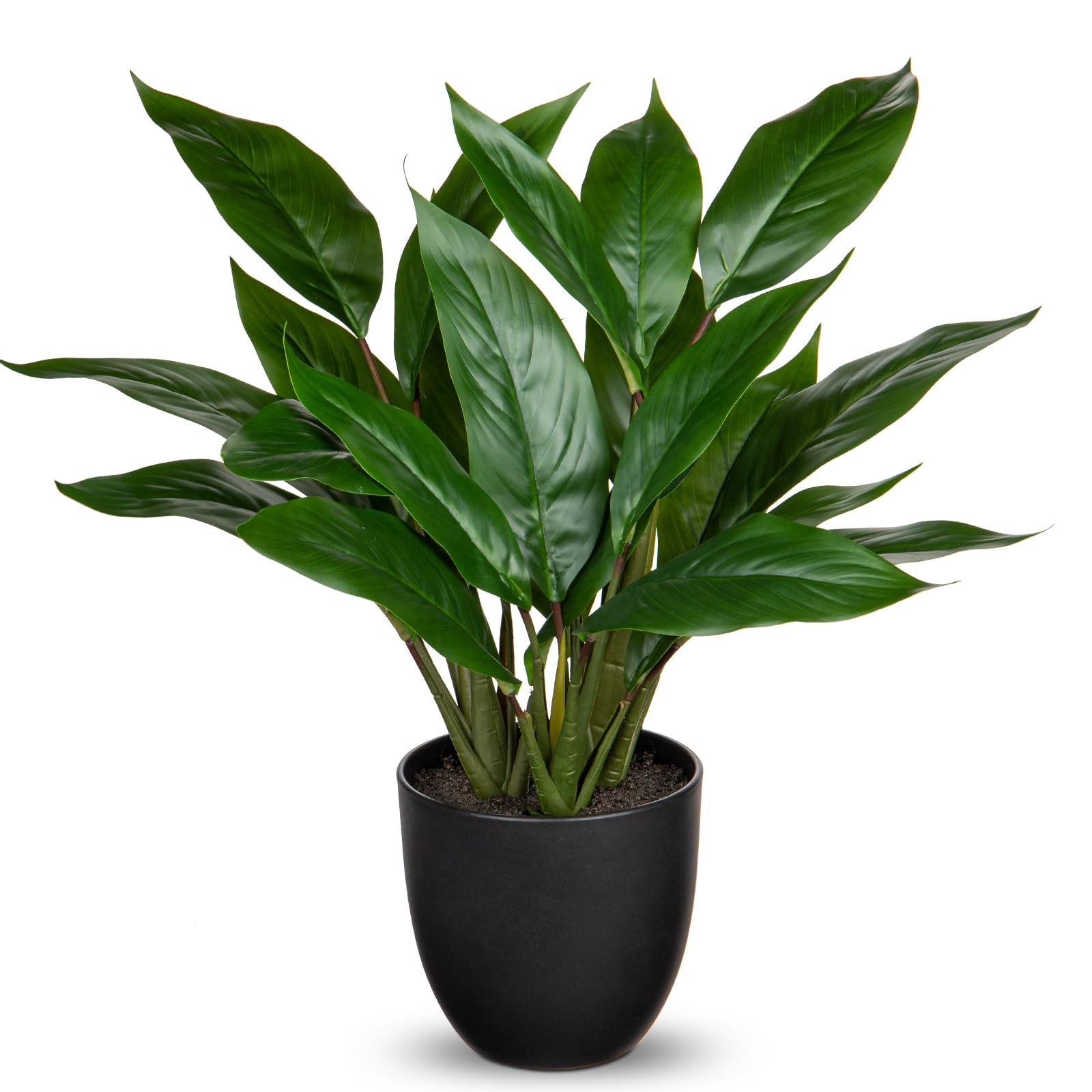 Briful 16.9" Artificial Plants in Pot Calathea Makoyana Fake Plants, Decorative Artificial Indoor Plants Maranta Faux Potted Plants for Home Office Bedroom Decor, Height 43CM, Dark Green
