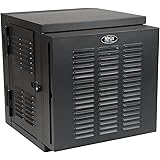 Tripp Lite 12U Wall Mount Rack Enclosure Server Cabinet, Hinged, 20.5" Deep, Switch-Depth, NEMA (SRW12USNEMA)