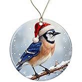 NoNi93Art Blue Jay Bird Christmas Ornament - Bird Christmas Ornament - Animal Lover - Cute - Xmas Tree Hanging Decor - Ceramic Holiday Decor Printed on Both Sides