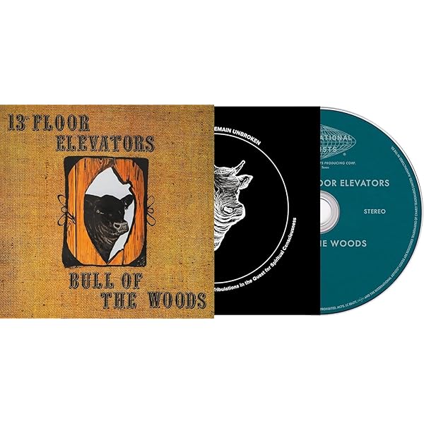 13th Floor Elevators - The Psychedelic Sounds Of The 13th Floor