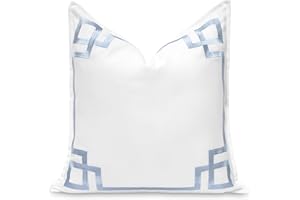 Hofdeco Premium Coastal Patio Indoor Outdoor Throw Pillow Cover Only, 20"x20" Water Repellent for Backyard, Couch, Baby Blue Embroidered Frame Greek Key