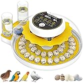 Quail Egg Incubator for Hatching 40 Quail Eggs with Automatic Turner | and Humidity Control,Small Brooder, Outdoor Poultry Egg Incubator, Suitable for Parrot Canary and Other Bird