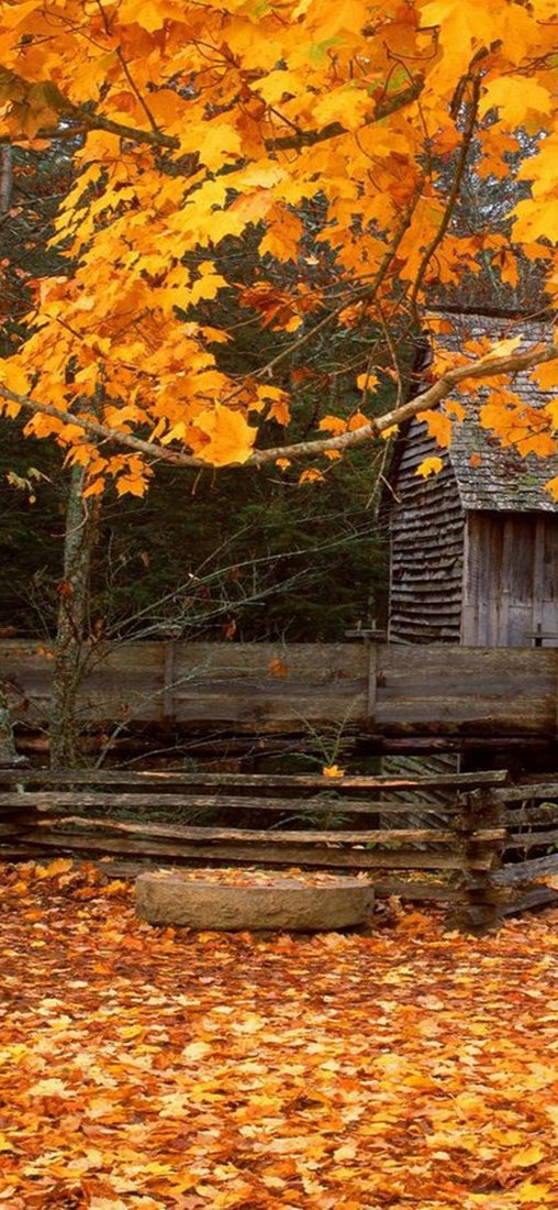 PeelitStickit, Beautiful Nature Wall Murals, ID-1455, vinyl