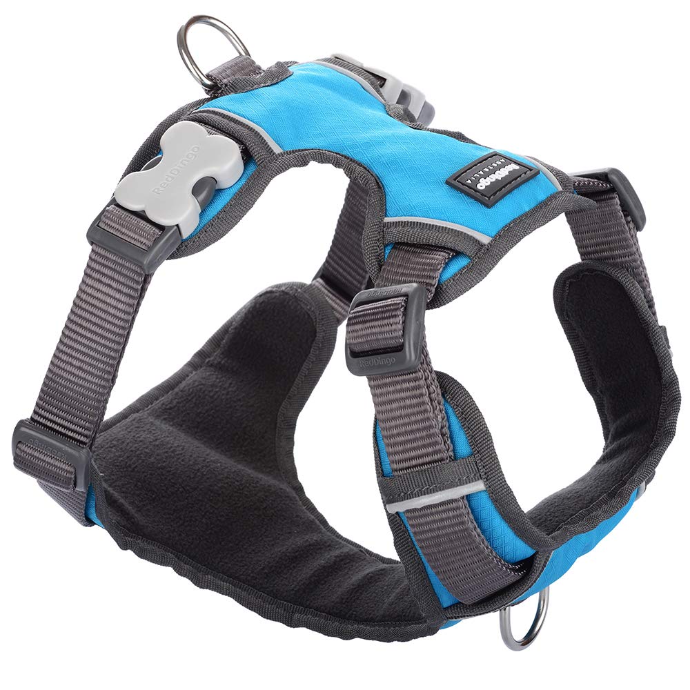 Red Dingo Padded Dog Harness Plain, Turquoise, Extra Small 12mm