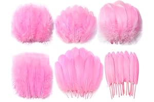 Larryhot Pink Craft Feathers Bulk - 240pcs 6 Style Natural Decorative Feathers for Wedding Home Party, Dream Catcher Supplies and DIY Crafts (Pink)