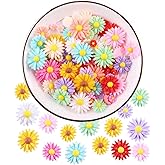 100 Pieces Assorted 5 Sizes Daisy Flower Resin Charms Plastic Beads Flatback Cabochons Embellishment for Jewelry Making Cardmaking Scrapbooking Hair Accessories DIY Craft (Multi)