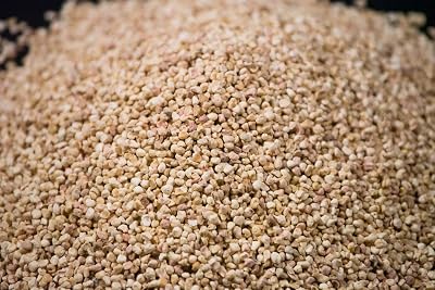 Crushed Corn Cob 250g-1.5kg - Natural Abrasive Media for Cleaning Blasting