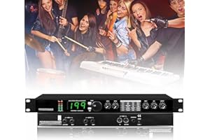Digital Reverb Multi Effect DSP Processor, Professional Audio Processor Equalizer, Preset/Programmable 24 Bit Signal Processi