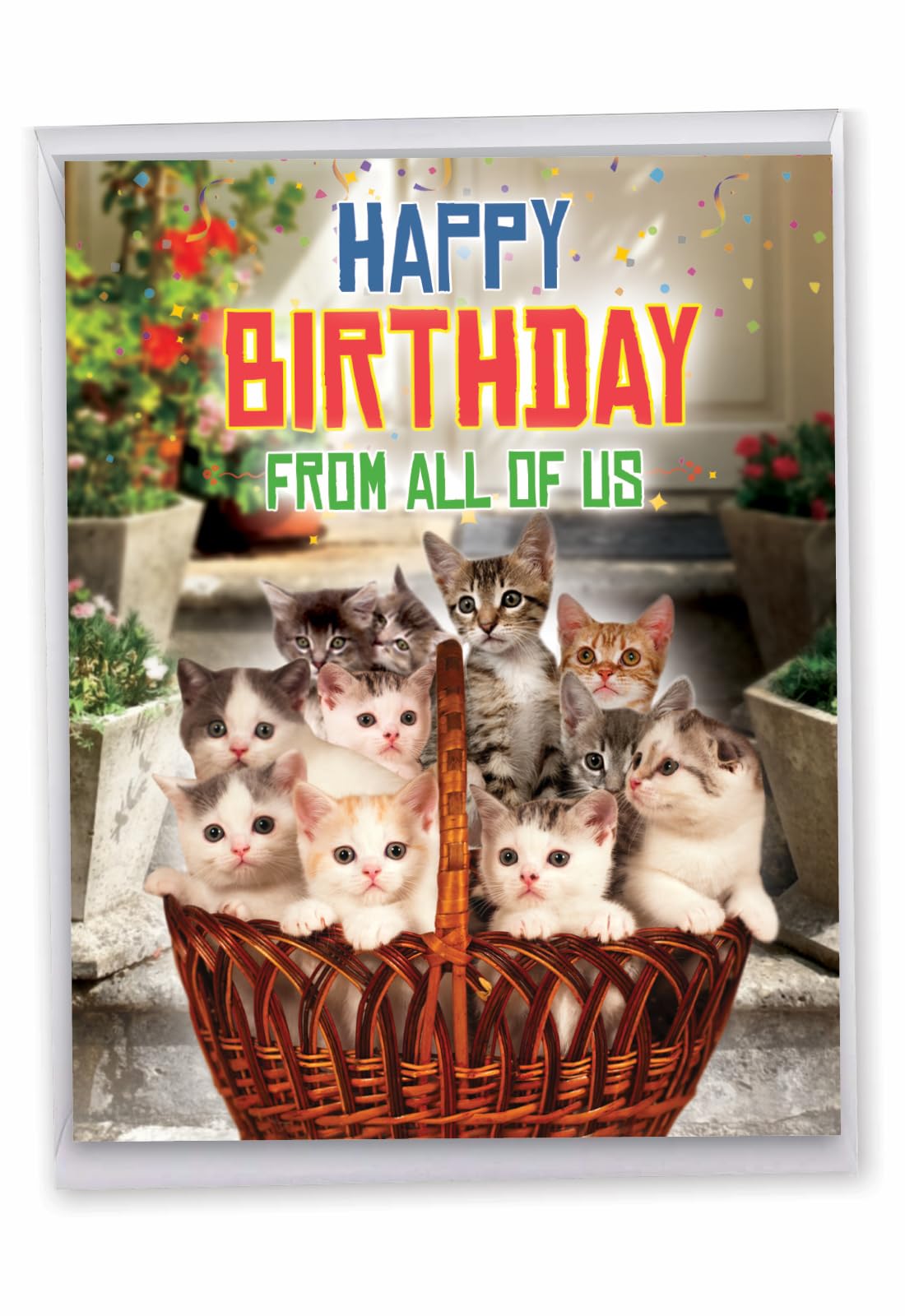 NobleWorks - Hilarious Happy Birthday Card with Envelope (8.5 x 11 Inch) - Funny Animal Greeting Card From All Of Us - From All Us Cats Birthday J5980BDG-US