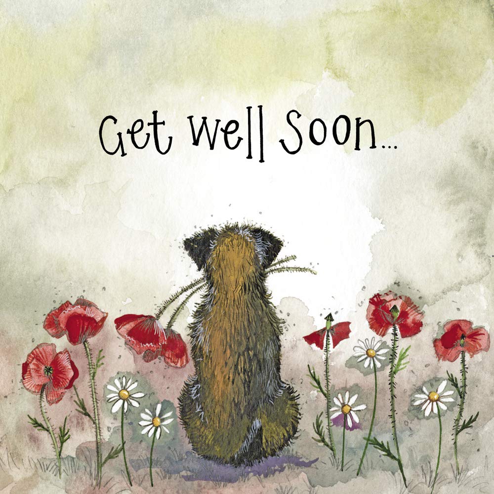 ALEX CLARK Get Well Soon Border Terrier and Poppy Foil Card
