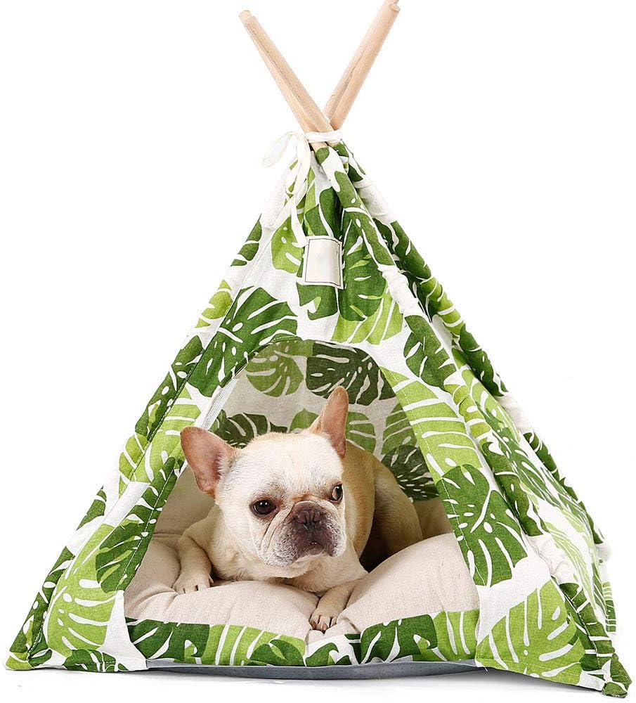 french bulldog teepee