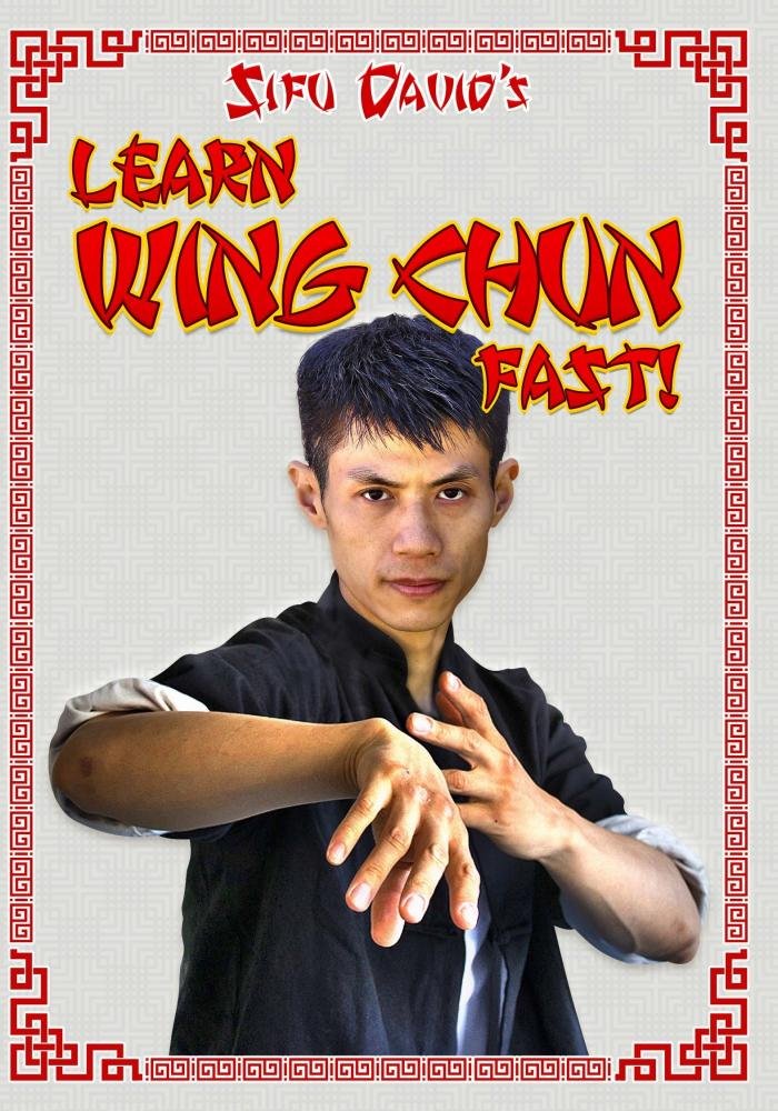 Wing Chun For Beginners DVD Learn Martial Arts Best Self