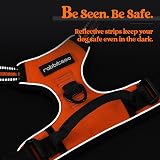 rabbitgoo Dog Harness Medium No Pull with 2 Leash Clips Reflective Orange M view 8