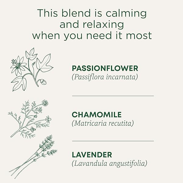 TRADITIONAL MEDICINALS TEA, ORGANIC CUP OF CALM, CALMING & RELAXING WITH CHAMOMILE MINT, 16 TEA BAGS