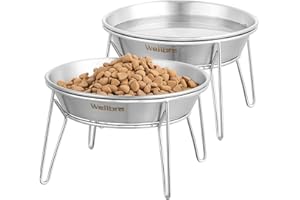 Wellbro Elevated Cat Bowls, 5.9 Inch Wide Stainless Steel Cat Food Bowls with Metal Stand Whisker Stress-Free, Raised Food and Water Dish for Cats, Kitten, Puppies and Small Dogs-2 Pack