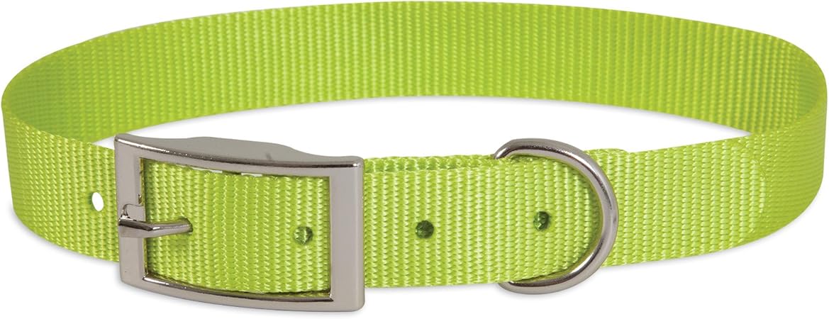 bluegrass hay for guinea pigs