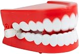 Funtime Gifts Clockwork Chattering Teeth Toy - Red Novelty Gag Gift view 2