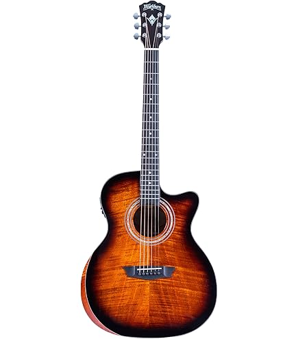 WASHBURN エレキギター パープル 6弦 WASHBURN エレキギター パープル