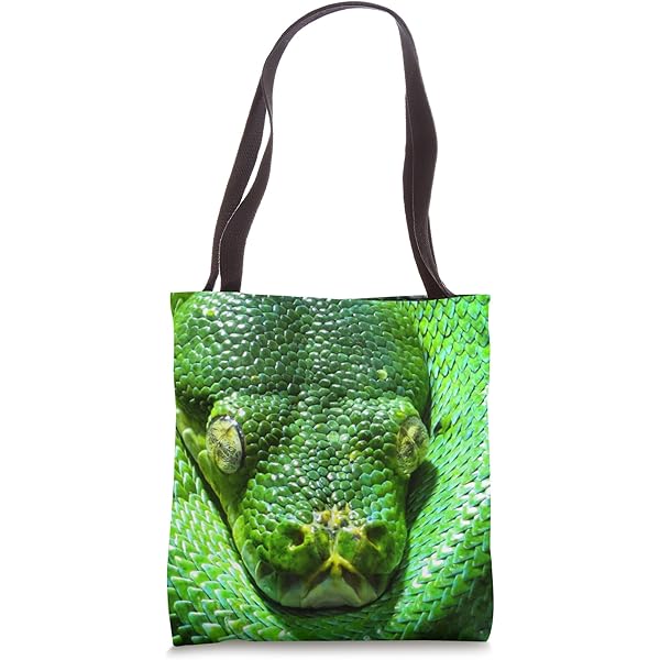 SamanthaKINGZ totebag crocodile × python SamanthaKINGZ totebag crocodile × python