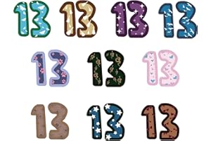 Tuoshei 30 Pcs Concert Merch,13 Temporary Tattoo,13 Tattoo, Hand tattoo, Star Temporary Tattoos, Concert Accessories for Singer Gifts