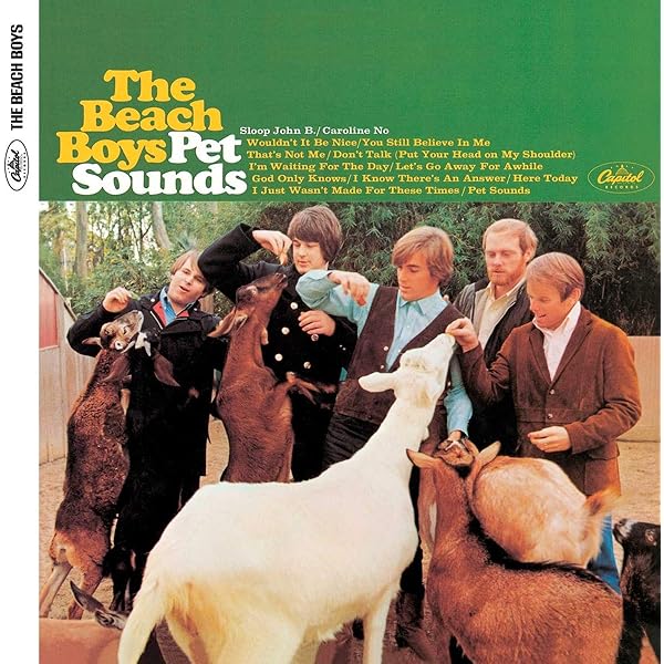 PET SOUNDS The Beach Boys Brian Wilson 盤 818GT4lpiQL._UF1000,1000_QL80_.jpg