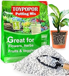 TOYPOPOR Perlite for Plants, 3-6mm Organic Perlite