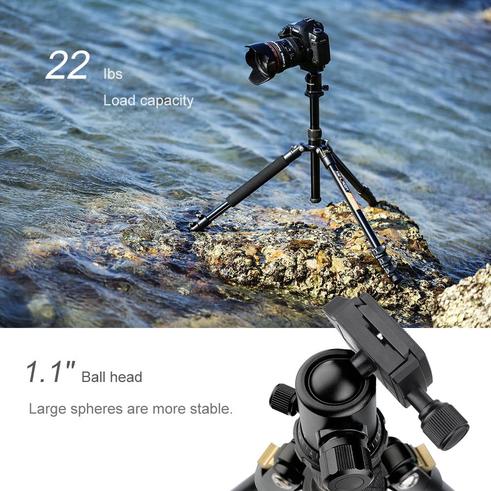K&F Concept 62'' DSLR Tripod, Lightweight and Compact Aluminum Camera Tripod with 360 Panorama Ball Head Quick Release Plate for Travel and Work (TM2324 Black) : Camera & Photo