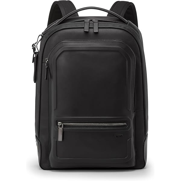 Amazon.com | TUMI - Alpha Bravo Davis Backpack - Alloy | Casual