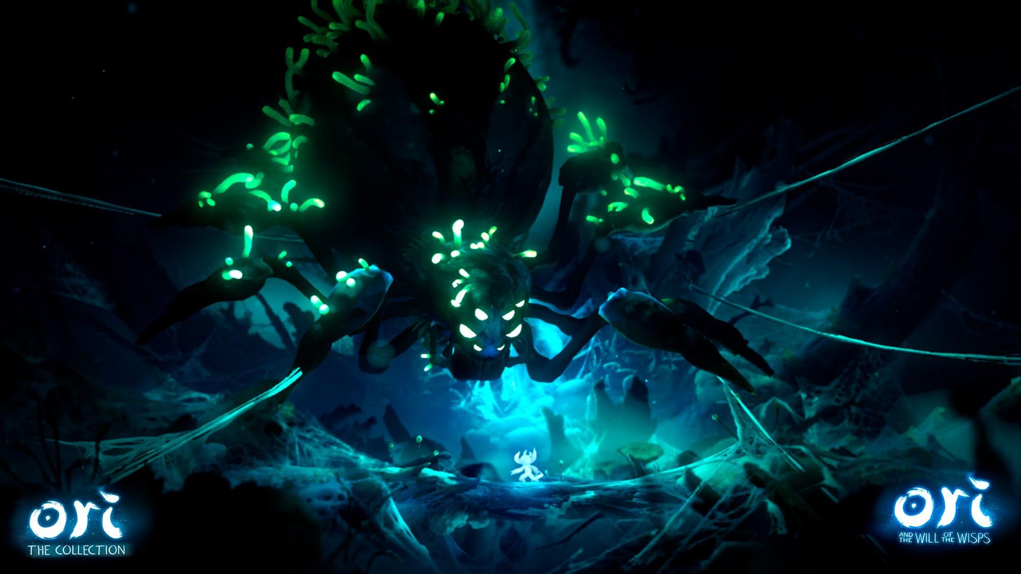 Ori: The Collection - Switch 5