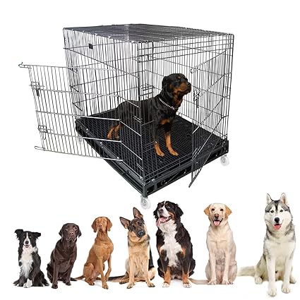 Jainsons Pet Products Heavy Duty Dog Crate Strong Metal Large Dog Cage 49 Inch 49x36 5x53 In Black Amazon In Pet Supplies